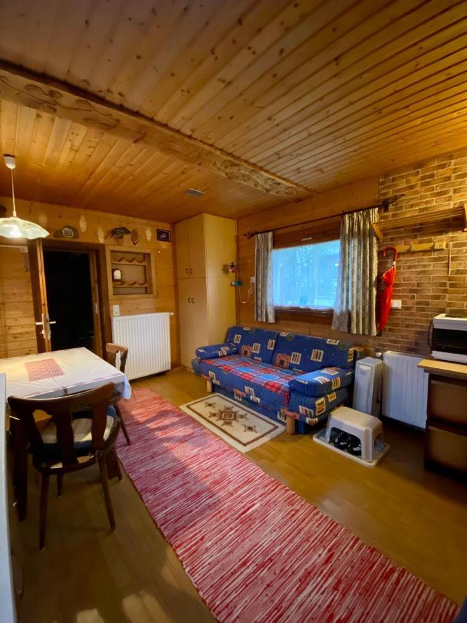 Vila Hutte Andrea Flachau Exteriér fotografie